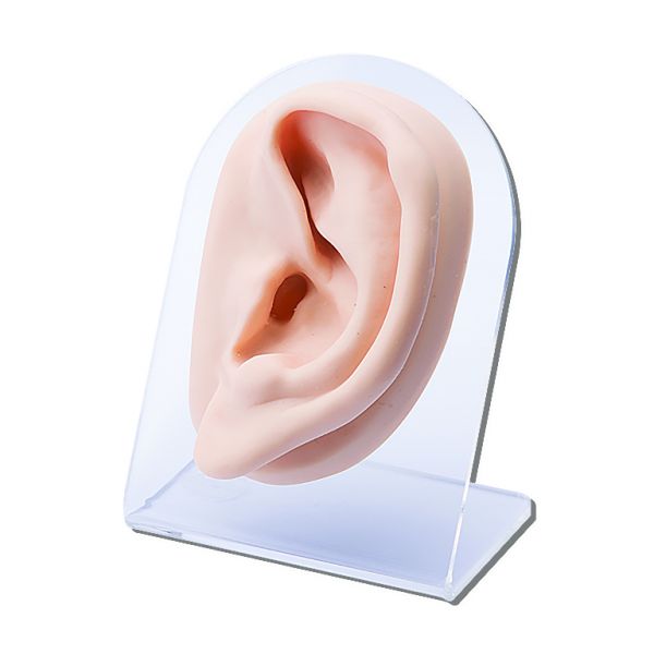 PIERCING DISPLAY