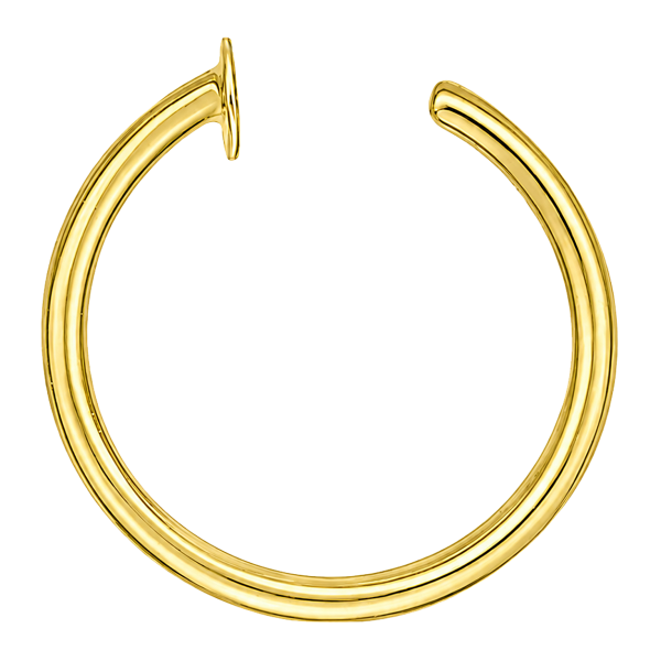 VERGOLDETER NASENRING