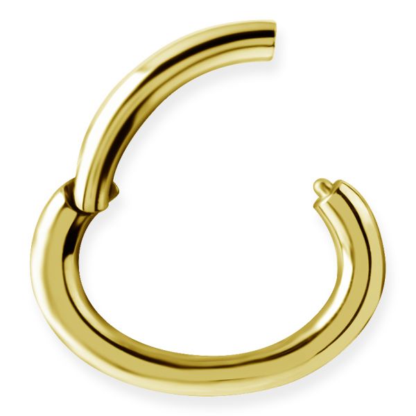 Piercing Clicker Rook ovalen Form