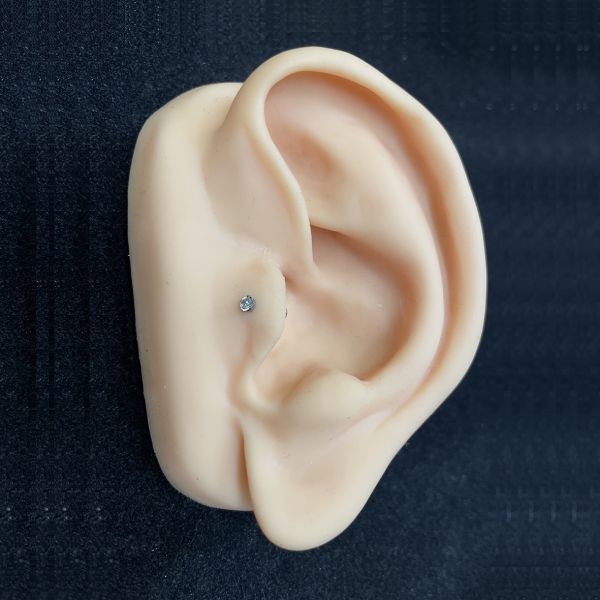 Labret conch piercing top