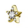 GOLD COMPONENT WITH STAR AND EXTERNAL THREAD
