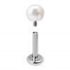 LABRET AVEC FILETAGE INTÉRIEUR ET PERLE D’EAU DOUCE