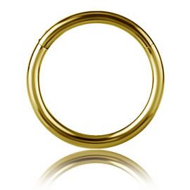GOLD PLATED PIERCING HOOP