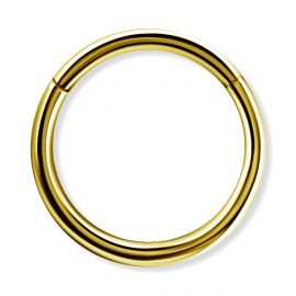 Gold hinged segment ring with clicker