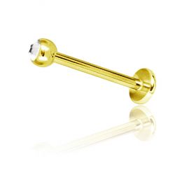 GOLDENES PIERCING MIT LIPPENKREIS