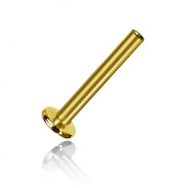 Piercing labbro in oro con filetto interno