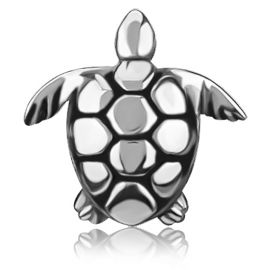 TURTLE PIERCING REPLACEMENT