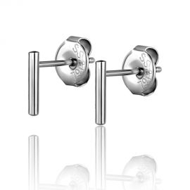 Pair of earrings with steel segment