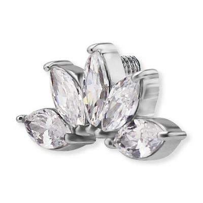 PIÈCE AVEC 5 FEUILLES EN CRISTAL