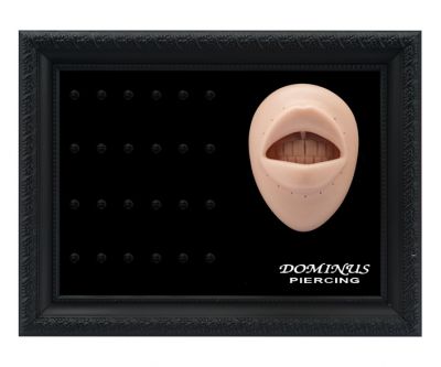 MOUTH PIERCING DISPLAY