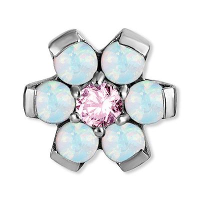 DISQUE DE CRISTAL POUR MICRODERMAL