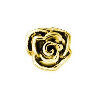 ROSE POUR ANCHOR