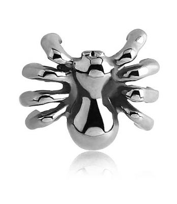 ARAIGNÉE