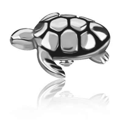 REMPLACEMENT DE PIERCING TORTUE